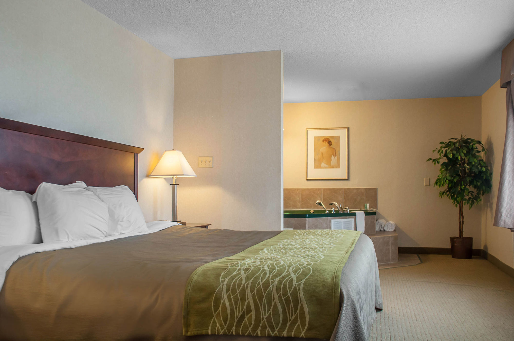 Comfort Inn & Suites Barrie Camera foto